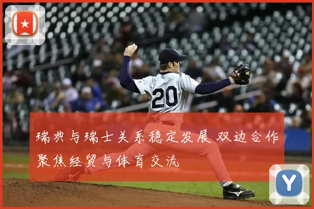 瑞典与瑞士关系稳定发展 双边合作聚焦经贸与体育交流