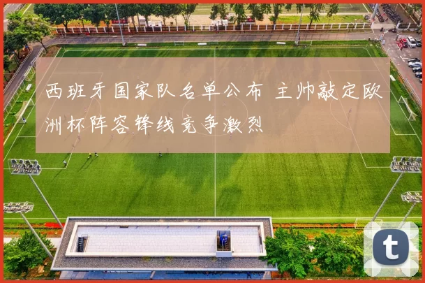 西班牙国家队名单公布 主帅敲定欧洲杯阵容锋线竞争激烈